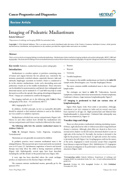 Peer-reviewed Article PDF