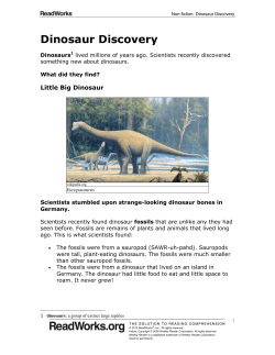 Dinosaur Discovery
