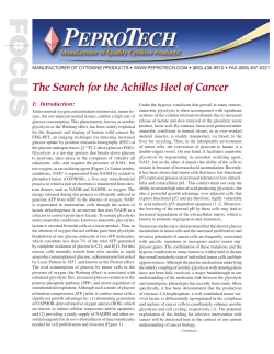 The Search for the Achilles Heel of Cancer