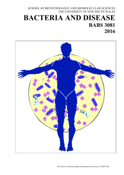 bacteria and disease