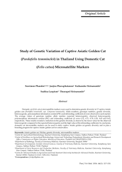 Study of Genetic Variation of Captive Asiatic Golden Cat