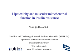 Lipotoxicity and muscular mitochondrial function in
