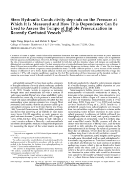 Stem Hydraulic Conductivity depends on the Pressure at Which It Is