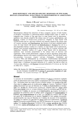 as a PDF - Treesearch