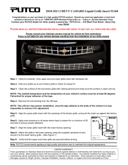 2010-2011 CHEVY CAMARO Liquid Grille Insert 91160