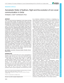 Aeroelastic flutter of feathers, flight and the evolution of non