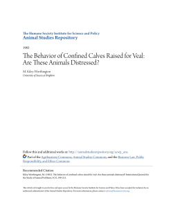 The Behavior of Confined Calves Raised for Veal: Are These