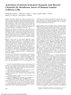 Activation of Stretch-Activated Channels and Maxi-K+