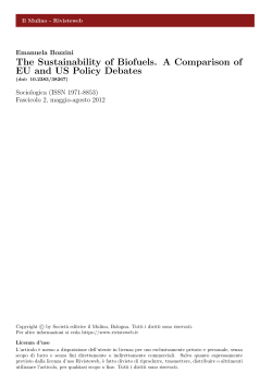 The Sustainability of Biofuels