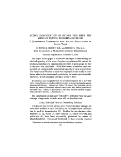 ACTIVE IMMUNIZATION OF GUINEA PIGS WITH THE VIRUS OF