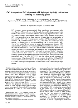 Ca2+ transport and Ca2+-dependent ATP hydrolysis by Golgi