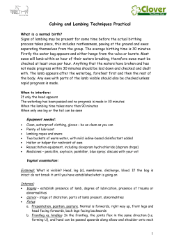 Calving and Lambing Techniques Practical
