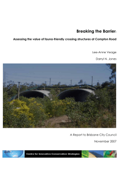 Breaking the Barrier - Griffith University