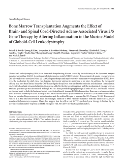 and Spinal Cord-Directed Adeno-Associated Virus 2/5 Gene