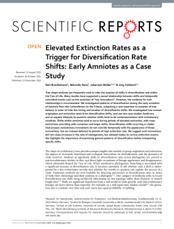 Elevated Extinction Rates as a Trigger for Diversification Rate Shifts