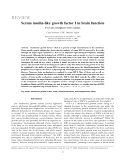 Serum insulin-like growth factor I in brain function