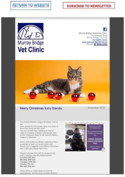 Merry Christmas furry friends - Murray Bridge Veterinary Clinic