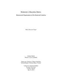Modernity`s Masculine Matrix: Homosocial