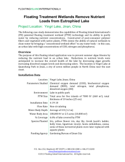 read more - Floating Island International