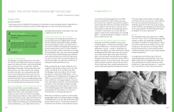 2008 Vintage Report - Wines of British Columbia