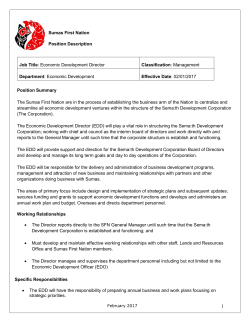 Economic Development Director Job Description