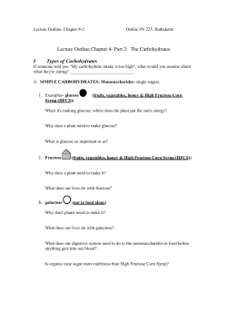 Lecture Outline Chapter 4- Part 2: The Carbohydrates I Types of