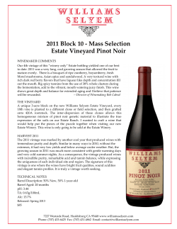 2011 Block 10 - Mass Selection Estate Vineyard