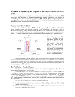 Reaction Engineering of Polymer Electrolyte Membrane Fuel Cells