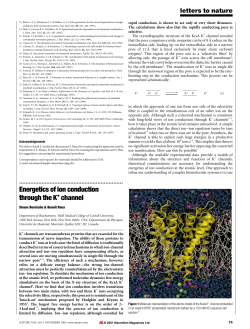 Energetics of ion conduction through the K+ channel