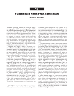 Purinergic Neurotransmission