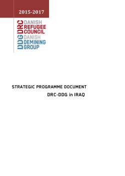 DRC Iraq Strategic Program Document 2015