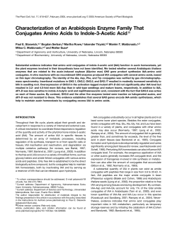 Characterization of an Arabidopsis Enzyme Family