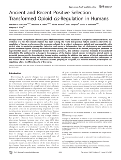Ancient and Recent Positive Selection Transformed Opioid cis
