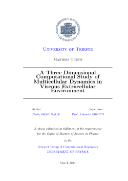 A Three Dimensional Computational Study of Multicellular Dynamics