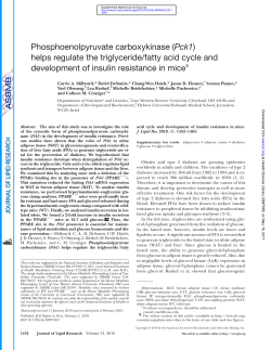 Phosphoenolpyruvate carboxykinase ( Pck1) helps regulate the