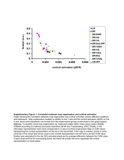 supplemental material