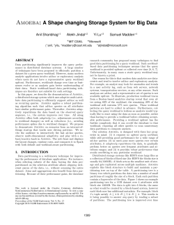 Amoeba: A Shape changing Storage System for