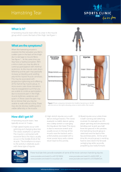 Hamstring Tear - Sports Clinic NQ