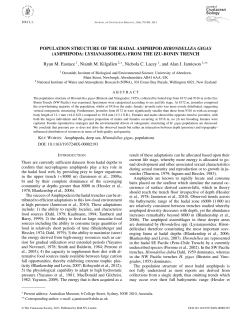 POPULATION STRUCTURE OF THE HADAL AMPHIPOD