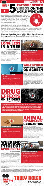 LONG LEGS - Truly Nolen Canada