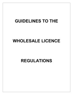 guidelines to the wholesale licence regulations