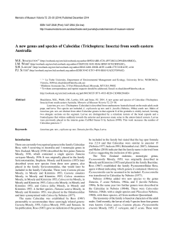 A new genus and species of Calocidae