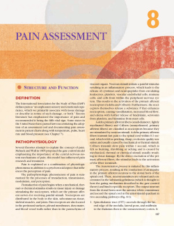 pain assessment