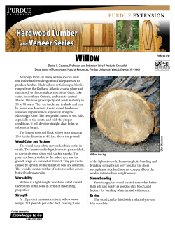 Hardwood Lumber and Veneer Series: Willow