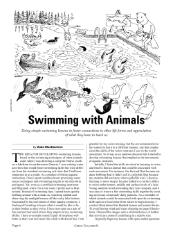 Swimming with Animals