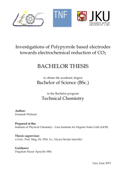 bachelor thesis