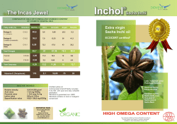 The Incas Jewel - In
