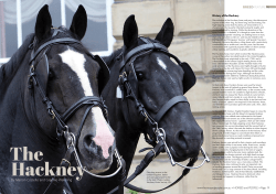 History of the Hackney