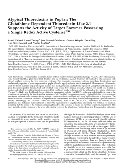 Atypical Thioredoxins in Poplar: The Glutathione