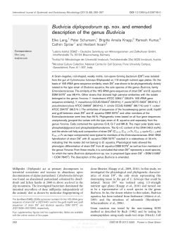 Budvicia diplopodorum sp. nov. and emended description of the